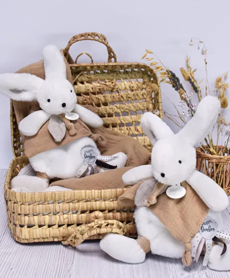 Coffret Doudou plat Lapin beige - Happy Wild - 25 cm
