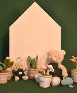 Peluche fleur - 9 cm - Botanique - Cactus Vert